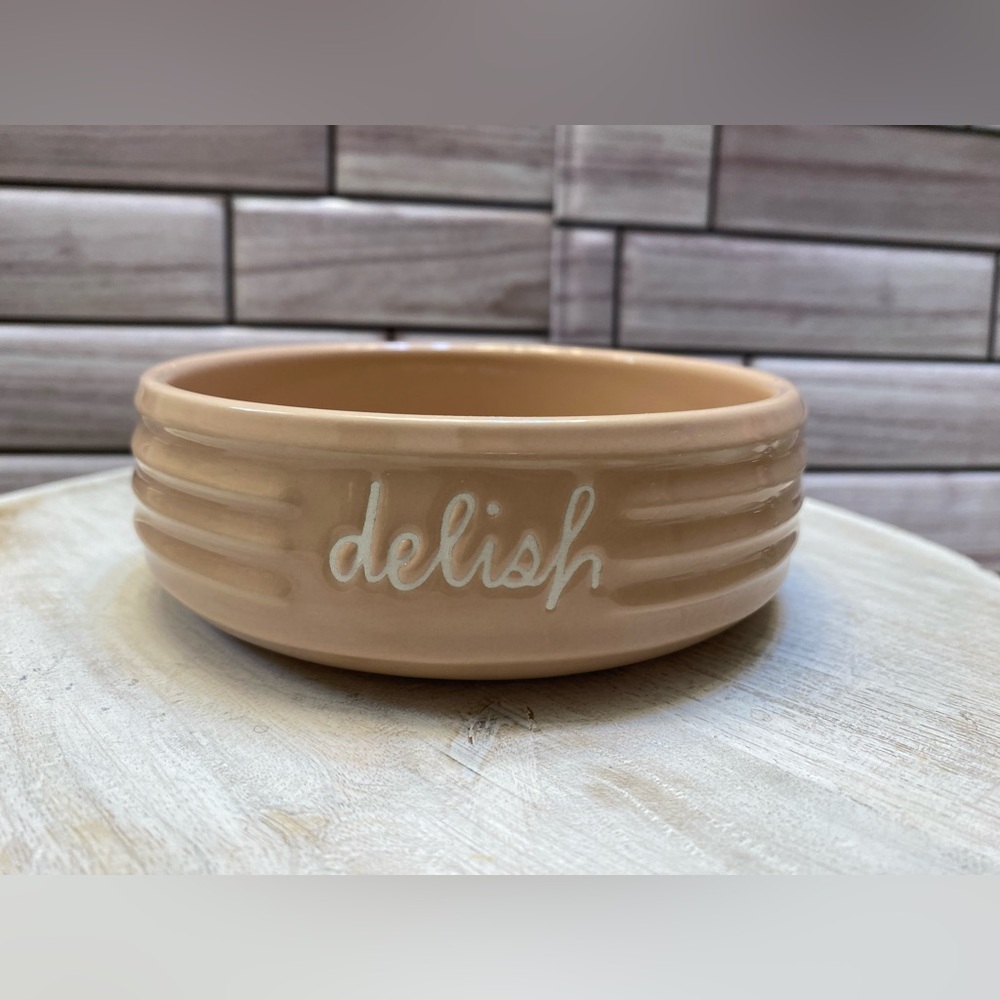 Raedunn “delish“cat & sm dog 🐱 🐶 ceramic bowl dusty pink New